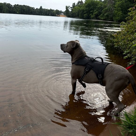 Meet your Posher, Adrianne! - Picture 6 of 16